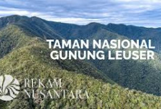 Inilah Fakta Menarik Dibalik Keindahan Gunung Leuser Puncak Tertinggi Kedua di Pulau Sumatera, Ada Apa Aja Yah