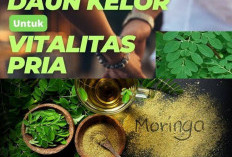 Pria Wajib Baca! Manfaat Daun Kelor Untuk Vitalitas Para Lelaki. Cek!