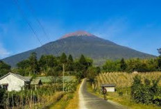 Wajib Dikunjungi, Rasakan Alam dan Keindahan Alam Gunung Slamet Puncak Tertinggi Kedua di Pulau Jawa