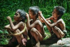 Ini Sejarah dan Mitos Asal-Usul Suku Anak Dalam Jambi, Ada Jurnalnya Juga!