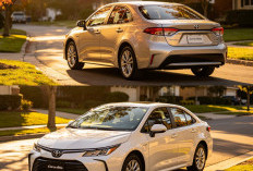 Toyota Corolla Altis: Sedan Elegan yang Memadukan Kenyamanan Premium dan Performa Andal
