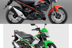 Kawasaki Athlete Pro, Motor Ayam Jago 125 cc, Begini Spesifikasi Lengkapnya!