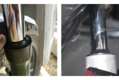 Seal Rusak Hingga Benturan Keras, Menguak Penyebab Umum Shock Depan Motor Bocor