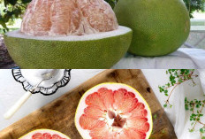 Jeruk Bali, Buah Rendah Kalori yang Membantu Penurunan Berat Badan!