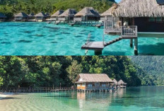 3 Pantai Tersembunyi di Maluku Utara yang Kecantikannya Saingi Maldives, Benar-benar Surga yang Tertinggal!