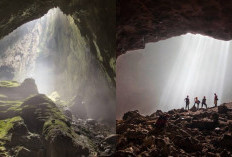 Yuk Simak! Menguak Misteri Goa Jomblang Keindahan yang Menyimpan Sejuta Rahasia