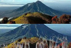 Kengerian di Balik Keindahan Gunung Lawu, Cerita Mistis yang Tak Terungkap!