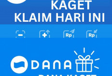 DANA Link Goes Viral Again, Here's How Users Get Free Balance Without a Premium Account