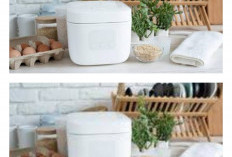 Kecil-Kecil Multifungsi! 3 Rice Cooker Mini Terbaik 2026 yang Irit Listrik!