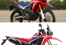 Update Harga Honda CRF250 Rally Juli 2026, Tembus Rp99 Juta Siap Menaklukkan Reli dan Adventure Touring