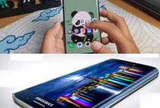 Yuk Intip HP dengan Layar AMOLED Termurah yang Bikin Mata Makin Dimanjakan