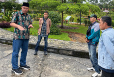 Siapkan Program Cinta Alam – Penanaman 1 Juta Pinus