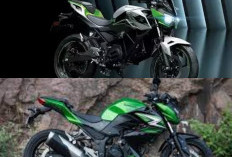 Yuk Intip Serunya Touring Jarak Jauh Pakai Motor Listrik yang Lagi Jadi Tren