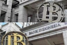 Indonesia’s Forex Reserves Stay Strong at USD146.2 Billion Amid Global Uncertainty