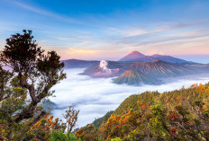 Awali Tahun 2024 dengan Mendaki Gunung Bromo, Inilah 7 Daya Tarik Gunung Bromo, bikin Ga mau Pulang!