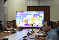 Pemkot Pagar Alam Dorong Perlindungan Kopi Raden Kuning Lewat Indikasi Geografis