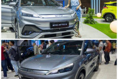 Resmi Meluncur, BYD Atto 3 Advanced Plus Tawarkan Teknologi Futuristik dan Performa Efisien 480 Km Sekali Ca