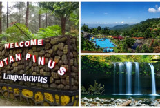 Wajib Dikunjungi! Rekomendasi 8 Tempat Wisata Banyumas Terpopuler