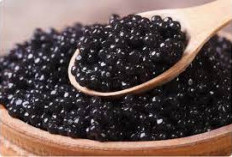 Nutrisi Kaya dari Laut, Menjelajahi 5 Manfaat Gizi Caviar Yang Tersembunyi