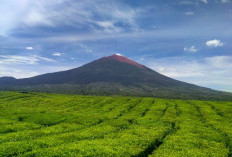 Jarang Diketahui, Ini Misteri Gunung Kerinci