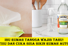 Ibu Rumah Tangga Wajib Tahu! Cuma Tisu dan Cuka Bisa Bikin Rumah Auto Bersih!