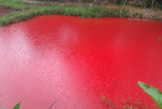 HEBOH! Air Ayek Tebat di Pagar Alam Mendadak Merah, Warga Panik dan Jagad Maya Gempar