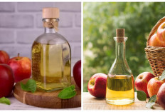 Kenali! Inilah 5 Manfaat Cuka Apel untuk Kesehatan Tubuh