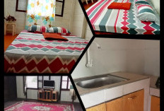 Alya Homestay, Pilihan Penginapan Nyaman dan Terjangkau di Kota Pagar Alam