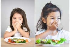 4 Tips Mengatasi Anak Susah Makan,  Perhatikan Pola Makan Serta Jam Tidur!