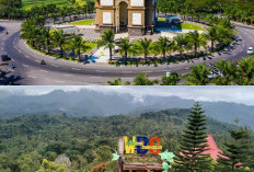 Wisata Alam Malam Kediri: Air Terjun, Bukit & Taman Bintang