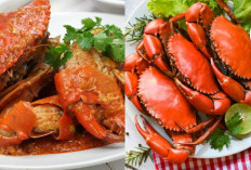 Pedas Nampol Inilah Resep Kepiting Saus Padang Favorit Banyak Orang Cobain Yuk! 