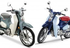 New Honda C125 Super Cub Craft All Curves, Motor Bebek Ikonik Bernuansa Klasik Kontemporer Ditahun 2026!