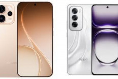  5 HP Oppo Terbaik 2026 yang Paling Diburu! Nomor 3 Bikin Kaget dengan Fitur Flagship Harga Midrange