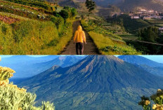 Sejarah dan Keindahan Gunung Sumbing, Destinasi Pendakian yang Wajib Dikunjungi!