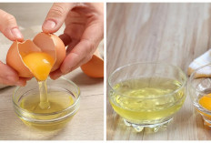 Sayang untuk Dilewatkan! Ini Dia 5 Manfaat Putih Telur bagi Kesehatan Tubuh