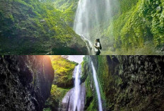 Mau Liburan yang Menenangkan? Air Terjun Madakaripura Bisa Jadi Pilihan!