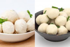 Resep Bakso Ikan Lezat dan Sehat Cocok Banget Untuk Lauk Makan Siang!