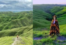  Pesona Wisata Memukau Sumba Timur hingga Dijadikan Lokasi Syuting Film