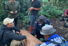 Pendaki Asal Palembang Ditemukan Selamat