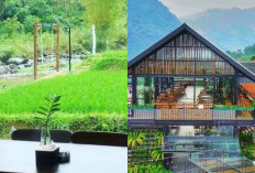 Rekomendasi Kuliner Terbaik di Sentul, Cocok untuk Liburan Akhir Pekan, Ini Kulinernya!