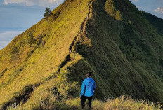 Mendaki Gunung Andong: Rute dan Jalur Terbaik bagi Pemula