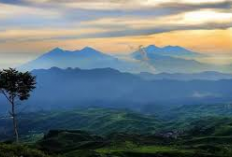 Pendakian Gunung Halimun: Menjelajahi Keindahan Alam Tersembunyi