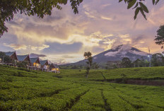 Keindahan Alam Pagar Alam dan Gunung Dempo