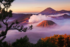 Misteri Gunung Papandayan, Menguak Kisah Mistis di Balik Keindahan, Simak Ulasannya!