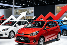 Update Pasar Otomotif: Harga Mobil LCGC Agustus 2026 Alami Kenaikan, Daihatsu Ayla Kini Tembus Rp141 Jutaan!