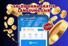 Begini Cara Menghasilkan Rp150 Ribu dengan Aplikasi Penghasil Saldo DANA 2025