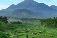 Bikin Ngeri! Petilasan dan Pasar Setan di Balik Puncak Gunung Arjuno, Ini Misteri dan Keindahannya!