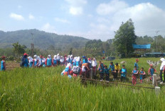 Berikan Edukasi Sejarah Megalith