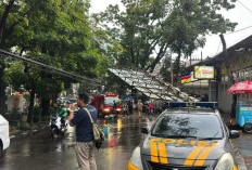 Bandung Dikepung Pohon Tumbang