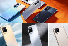 HP Vivo Terbaru 2026: Seri Y, V, dan X Hadir dengan Spesifikasi Makin Gahar dan Harga Kompetitif